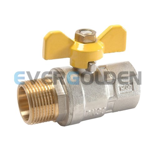 EG1062 BRASS GAS BALL VALVE F/M    