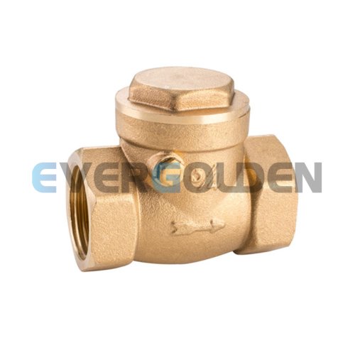 EG7106 Brass check valve