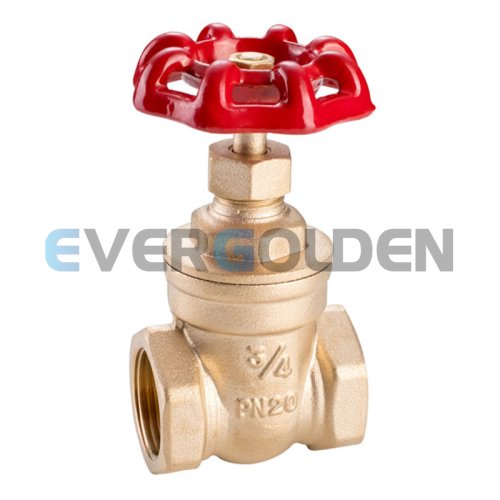 EG1108 BRASS GATE VALVE