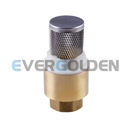 EG7105 BRASS CHECK VALVE WITH SCREEN