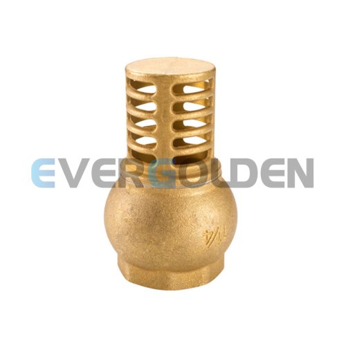 EG7113 Brass foot valve