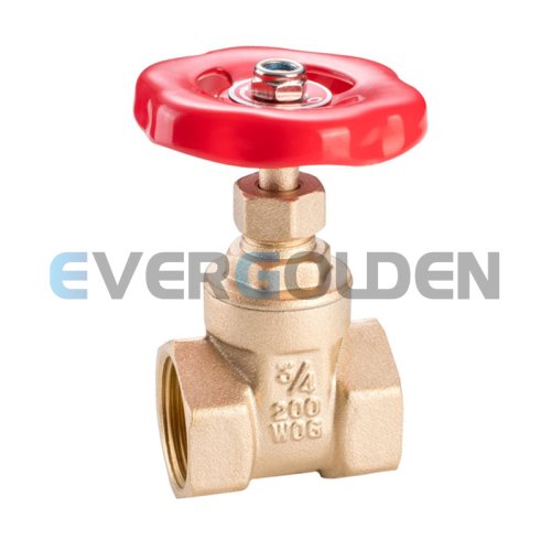 EG1105 Brass gate valve