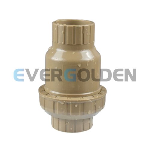 EG84060 SPRING CHECK VALVE      ​